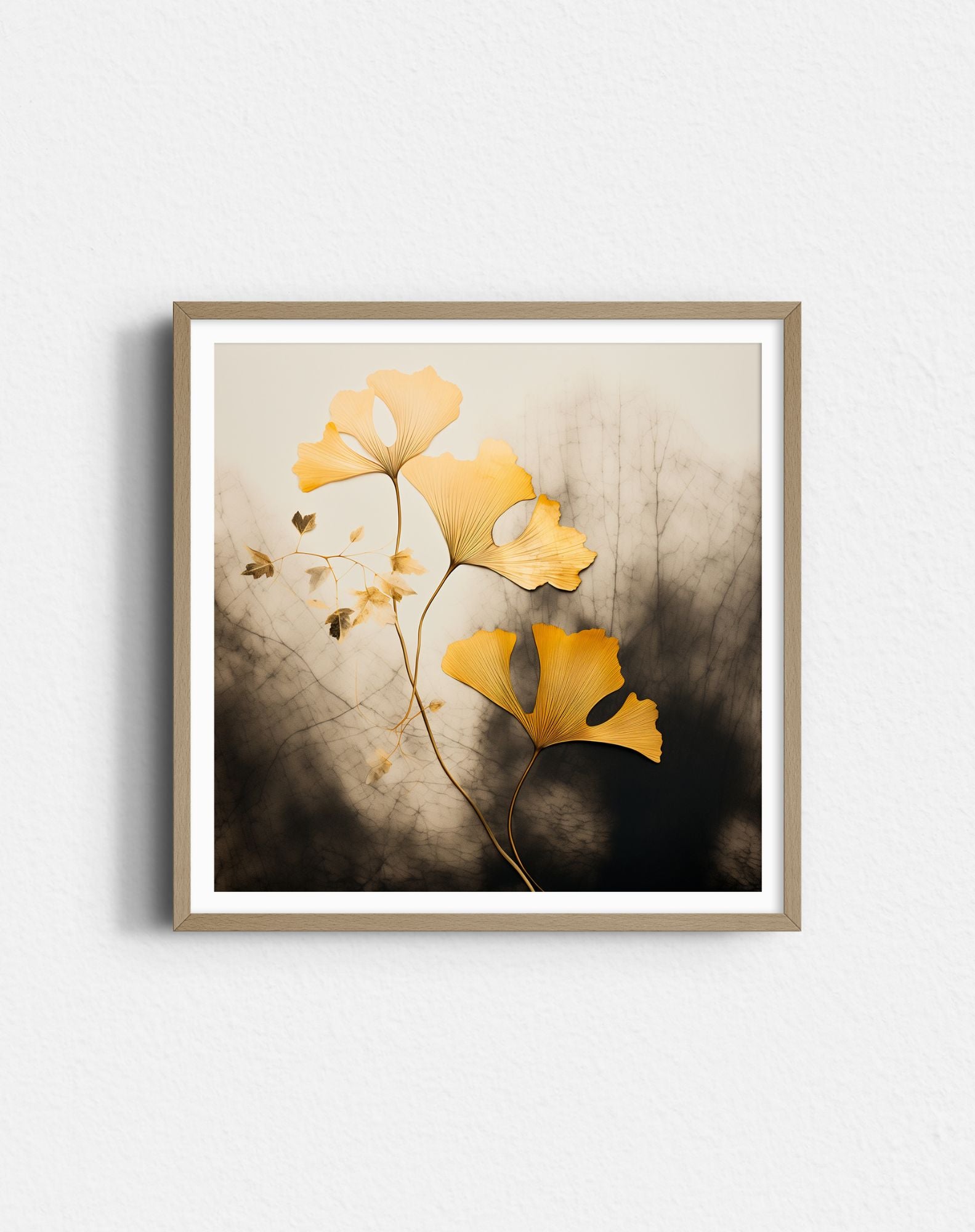 Ginkgo 1